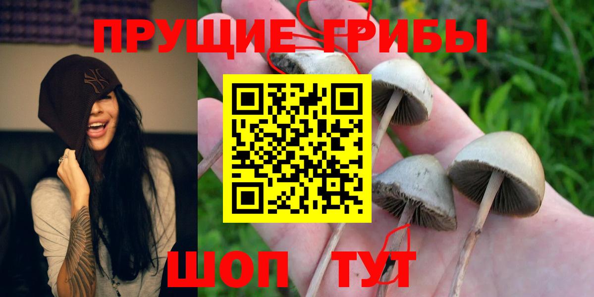 Вятские Поляны  Псилоцибиновые грибы мухоморы  Вход с VPN 