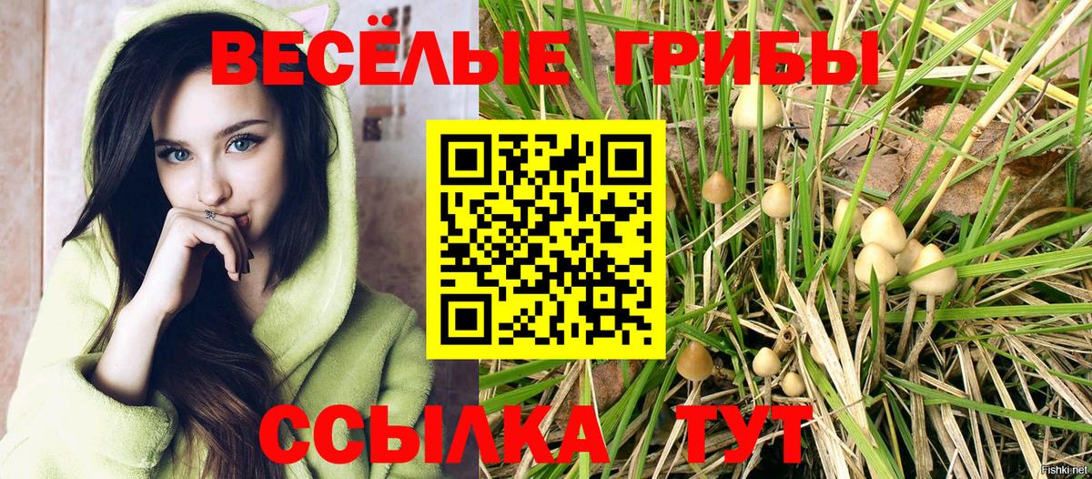 Галлюциногенные грибы Cubensis Вятские Поляны